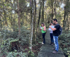 Polícia Científica do Paraná promove curso de reciclagem em perícias ambientais
