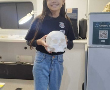 Museu de Ciências Forenses promove exposições itinerantes em todo o Paraná