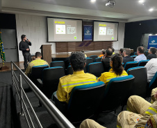 Paraná inicia discussões sobre prevenção e combate a incêndios florestais com workshop