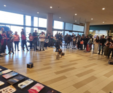 PCPR atende 1,2 mil pessoas em ação de conscientização e prevenção ao uso de drogas em Curitiba