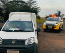 PMPR encontra 34 animais em situação de maus-tratos após abordagem em rodovia