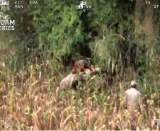 Sensor de helicóptero da PM encontra mulher desaparecida em Guaíra