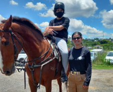 Terapia com cavalos da PMPR colabora na qualidade de vida de pessoas com deficiência