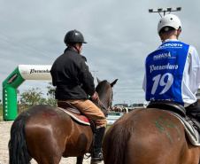 Terapia com cavalos da PMPR colabora na qualidade de vida de pessoas com deficiência