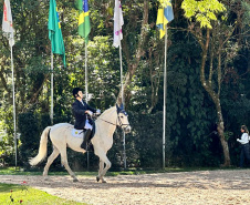 Terapia com cavalos da PMPR colabora na qualidade de vida de pessoas com deficiência