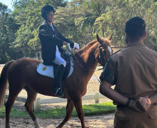 Terapia com cavalos da PMPR colabora na qualidade de vida de pessoas com deficiência