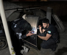 Megaoperação da PCPR mira grupo que roubava veículos em Curitiba e RMC