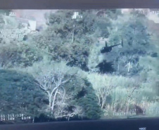  Perseguição de helicóptero: Falcão da PM ajuda PF a interceptar aeronave com 243 kg de cocaína