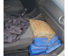 Com apoio do Falcão, PMPR apreende 1,2 tonelada de maconha em Cascavel