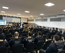 PCPR mira organização criminosa ligada ao tráfico e homicídios em Ortigueira