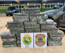 Operação Protetor: polícia apreende 1.350 kg de maconha em Cruzeiro do Oeste e Guaíra