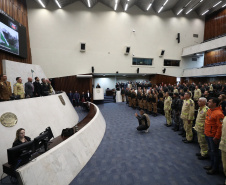 Forças de segurança que atuaram no Rio Grande do Sul são homenageadas na Alep