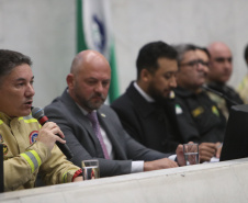 Forças de segurança que atuaram no Rio Grande do Sul são homenageadas na Alep