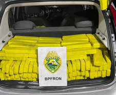 Combate ao tráfico: apreensões de maconha e cocaína crescem no Paraná no 1º semestre