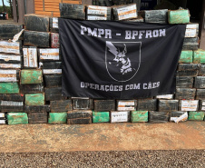 Combate ao tráfico: apreensões de maconha e cocaína crescem no Paraná no 1º semestre