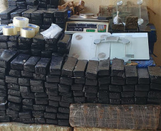 Combate ao tráfico: apreensões de maconha e cocaína crescem no Paraná no 1º semestre