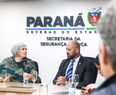 Secretário Hudson recebe secretária nacional de Enfrentamento à Violência Contra Mulheres Denise Motta Dau 