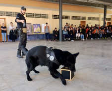 PCPR atende 5 mil pessoas em ações de conscientização sobre o uso de drogas