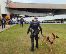 PCPR atende 5 mil pessoas em ações de conscientização sobre o uso de drogas