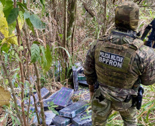 Combate ao tráfico: apreensões de maconha e cocaína crescem no Paraná no 1º semestre