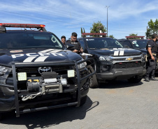 PCPR realiza 181 prisões no primeiro semestre em Quedas do Iguaçu, 570% a mais que no ano passado