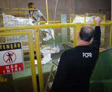 Documentos descartados pela PCPR são reciclados e vão ajudar entidades assistenciais