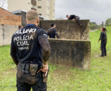 Paraná tem menor número de homicídios no 1º semestre em 18 anos; roubos caem 24%