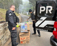 PCPR prende quatro por soltura de balões que chegavam a custar mais de R$ 20 mil