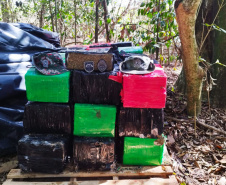 Batalhão de Polícia Ambiental apreende 933 quilos de maconha em Umuarama