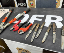PCPR realiza operação com 110 policiais contra organização especializada em furto de cabos