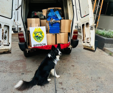 Polícia Militar apreende 488 quilos de maconha em Ouro Verde do Oeste