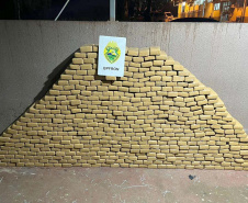 Polícia Militar do Paraná apreende mais de meia tonelada de maconha em Foz do Iguaçu