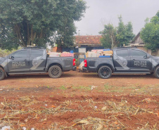 PMPR apreende 4,1 toneladas de maconha em Toledo e Umuarama
