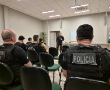 PCPR prende 14 integrantes de uma organização criminosa envolvida em tráfico de drogas e comércio ilegal de armas de fogo no Oeste do Estado