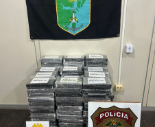 Polícia Militar e Polícia Federal apreendem pasta base de cocaína no terminal de containers de Paranaguá