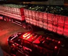 Apreensão de drogas em estradas do Paraná cresceu 44% nos primeiros sete meses de 2024