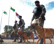 Desfile de 170 anos mostra evolução da tecnologia usada pela PM para ajudar população