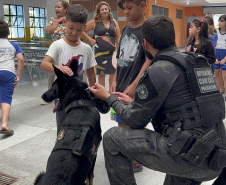 Detecção de drogas, armas e até explosivos: núcleo de cães da PCPR completa 13 anos