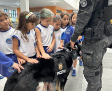 Detecção de drogas, armas e até explosivos: núcleo de cães da PCPR completa 13 anos