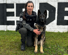  Policiais civis se formam no curso Condutores de Cães de Guerra da Força Aérea Brasileira 