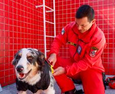 GOST: como atua a equipe dos Bombeiros especializada em grandes desastres
