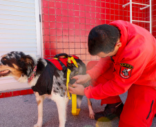 GOST: como atua a equipe dos Bombeiros especializada em grandes desastres