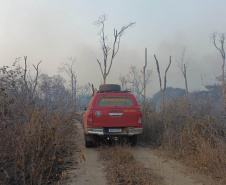 Retorno da segunda equipe de bombeiros militares encerra missão paranaense no Pantanal