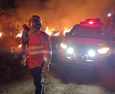 Retorno da segunda equipe de bombeiros militares encerra missão paranaense no Pantanal