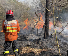 Retorno da segunda equipe de bombeiros militares encerra missão paranaense no Pantanal