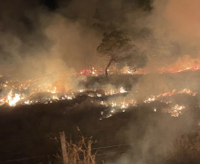 Retorno da segunda equipe de bombeiros militares encerra missão paranaense no Pantanal