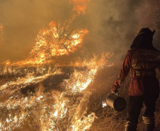 Retorno da segunda equipe de bombeiros militares encerra 