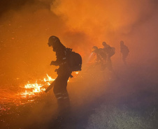 Retorno da segunda equipe de bombeiros militares encerra missão paranaense no Pantanal