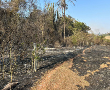 Com bombeiros mobilizados, helicóptero reforça combate a incêndio em Maria Helena