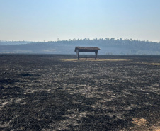 Com bombeiros mobilizados, helicóptero reforça combate a incêndio em Maria Helena